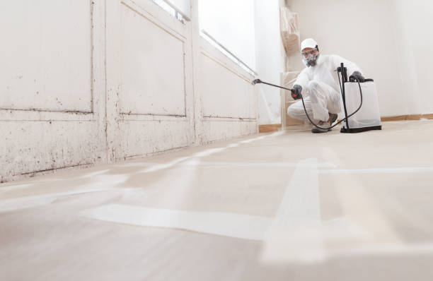 24/7 Emergency Mold Inspection experts in Erie, IL